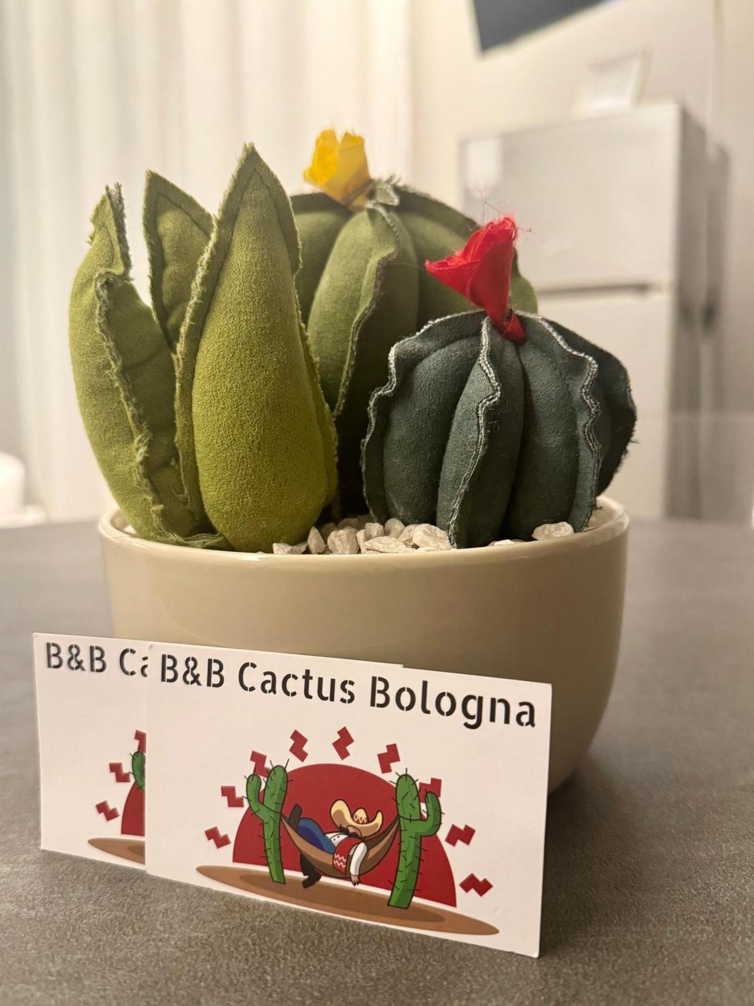 Bed and breakfast Cactus *